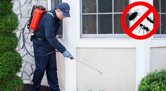 Dikili Karınca İlaçlama böcek ilaçlama ve haşere kontrolü — ilaclama-tr.com